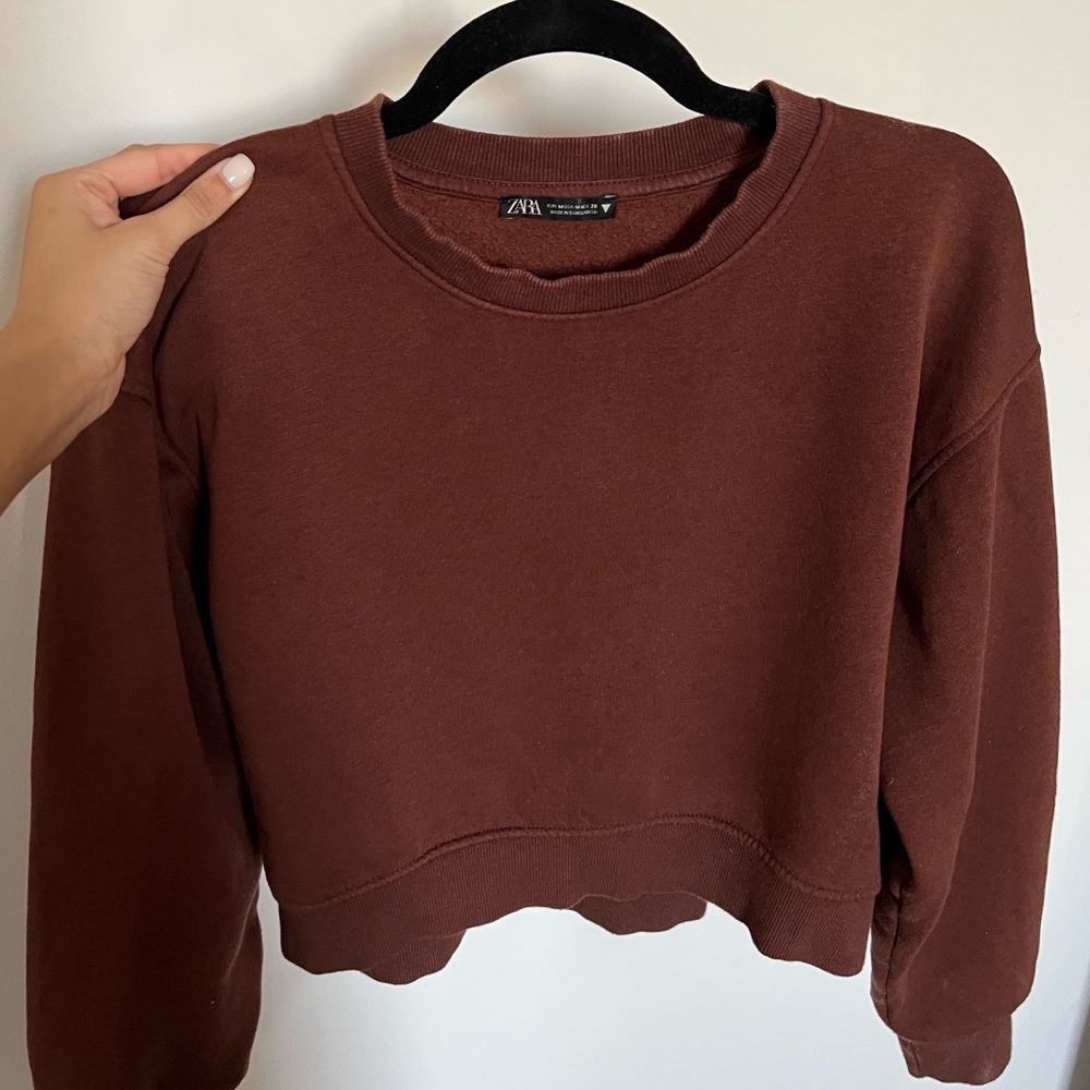 Zara cropped crew neck sweatshirt